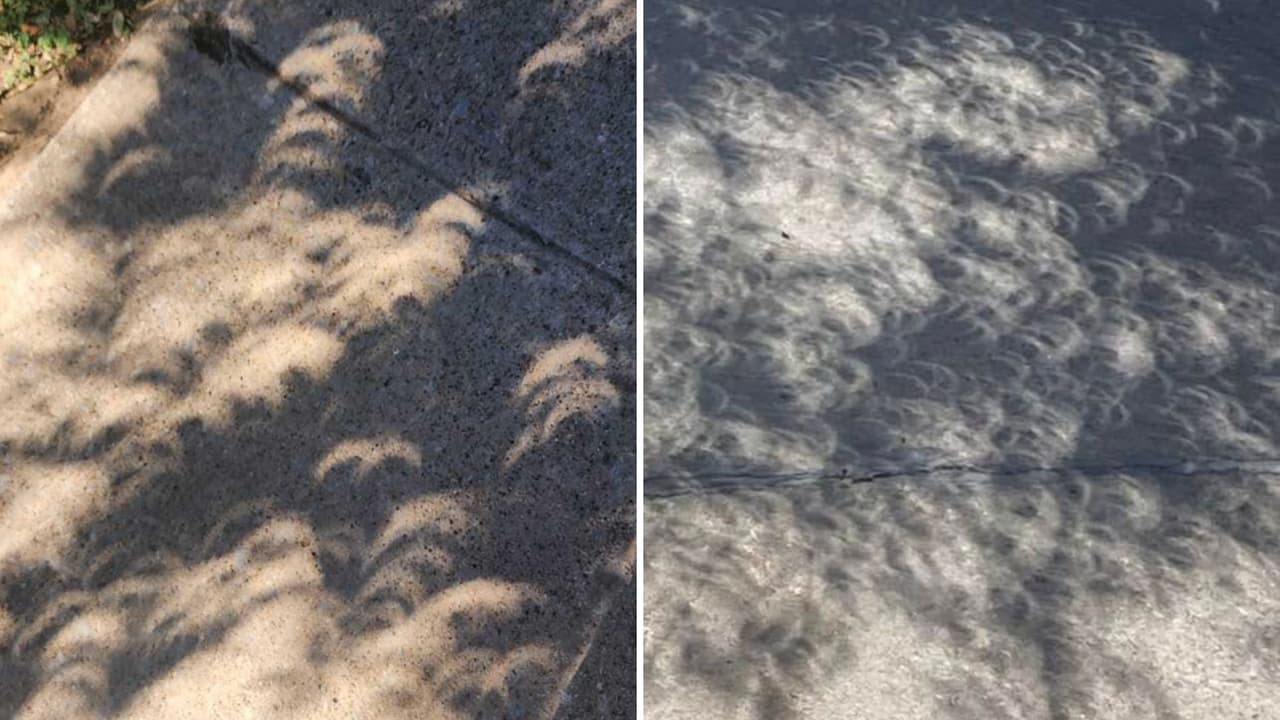 En Dallas y en Houston, las sombras proyectadas por el paso del eclipse solar anular también fueron visibles y capturadas por los resdientes.