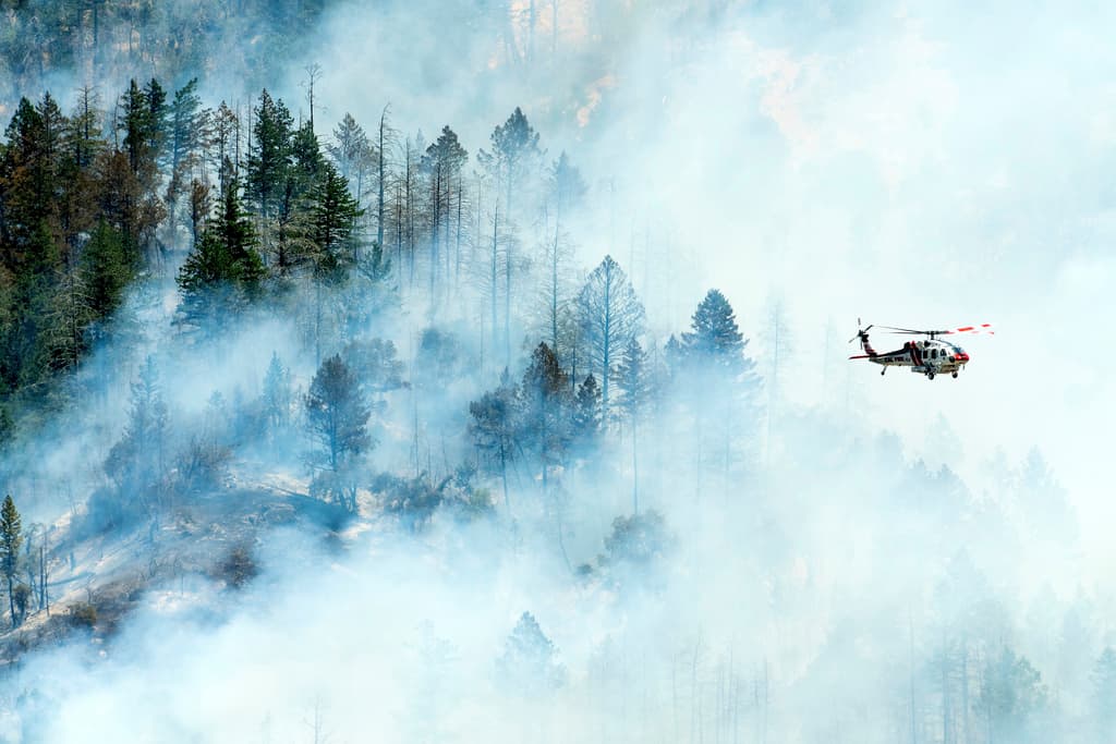 Se espera otro día de calor extremo en la región afectada. Las temperaturas elevadas están complicando los esfuerzos de extinción de los incendios.