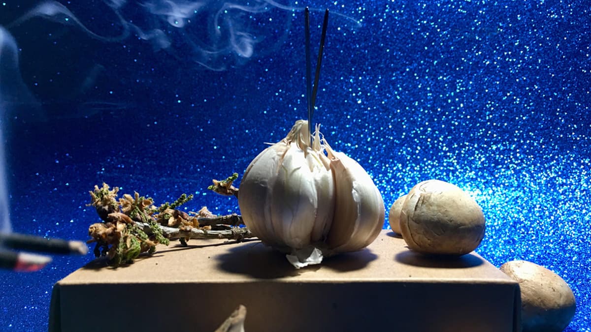 El ajo es uno de los ingredientes básicos de la cocina, para varios platillos. No solo es un condimento muy fuerte, sino que tiene amplias propiedades benéficas que ayudan al cuerpo a liberar toxinas y, por supuesto, también poderes esotéricos muy interesantes.