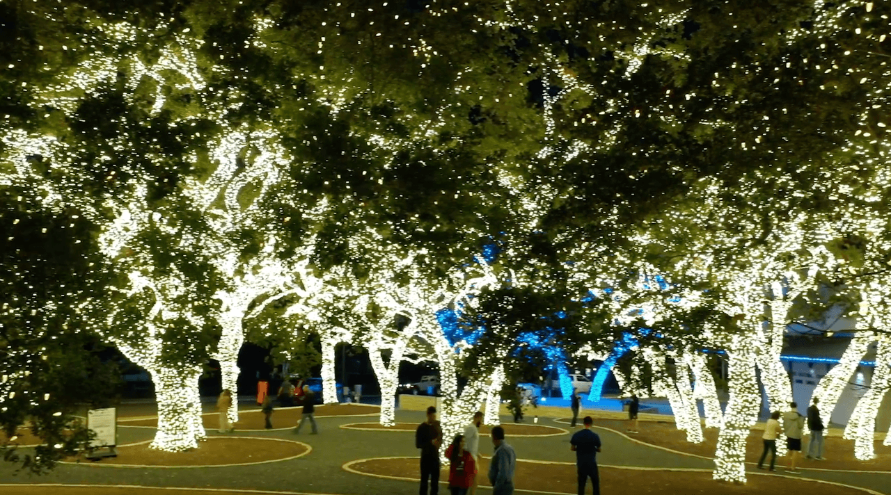 Si ya vas con la idea de tomarte fotos, si usas el #PECHolidayLights y #OurTownLights en tus publicaciones en las redes sociales podrás participar de un concurso.