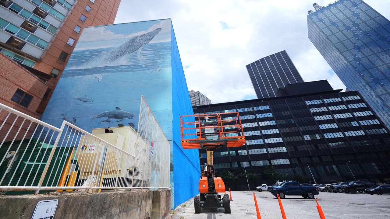 <h3 class="cms-H3-H3">Jóvenes de Dallas piden reglas más claras para proteger murales públicos</h3> La reacción también llegó desde la comunidad.
<br>Según AP, Katy Rose Cusick y Joshua Hurston, estudiantes de último año de una secundaria de artes escénicas y visuales en Dallas,
<a href="https://www.change.org/p/bring-a-new-whale-mural-to-dallas-and-protect-public-art" target="_blank">iniciaron una petición en Change.org</a> para pedir
<b>más protección para el arte público y evitar que otras obras reconocidas queden expuestas a cambios sin un proceso claro.</b>
<br>Hasta la tarde del martes 26 de mayo,
<b>la petición contaba con 2,237 firmas.</b>