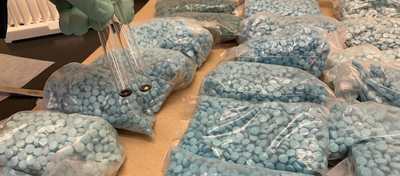 La DEA apoya los esfuerzos de organizaciones, como la Fundación Alexander Neville, la Sociedad Blue Plaid, Facing Fentanyl, Voices for Awareness, V.O.I.D., que buscan frenar la venta de drogas adictivas como el fentanilo en California y el resto de EEUU.