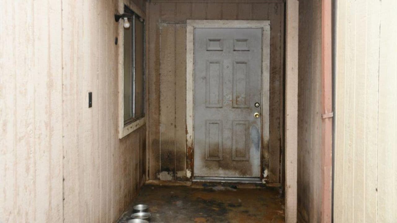 Al interrogar al presunto dueño de los perros, éste dijo que los animales estaban enfermos, pero que ya estaban recibiendo tratamiento médico, sin embargo no pudo comprobar que los perros estaban siendo atendidos.
<br>
<br>Además admitió que salió de viaje durante casi todo el mes y los animales estaban a cargo de un familiar.
