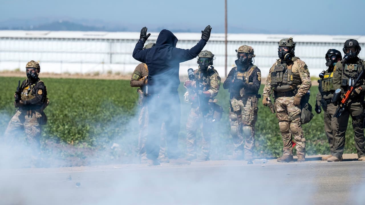 El DHS confirmó que más de 200 personas fueron detenidas en
<b>operativos simultáneos en Glass House Farms</b>, donde también se rescataron menores migrantes en riesgo de explotación laboral.