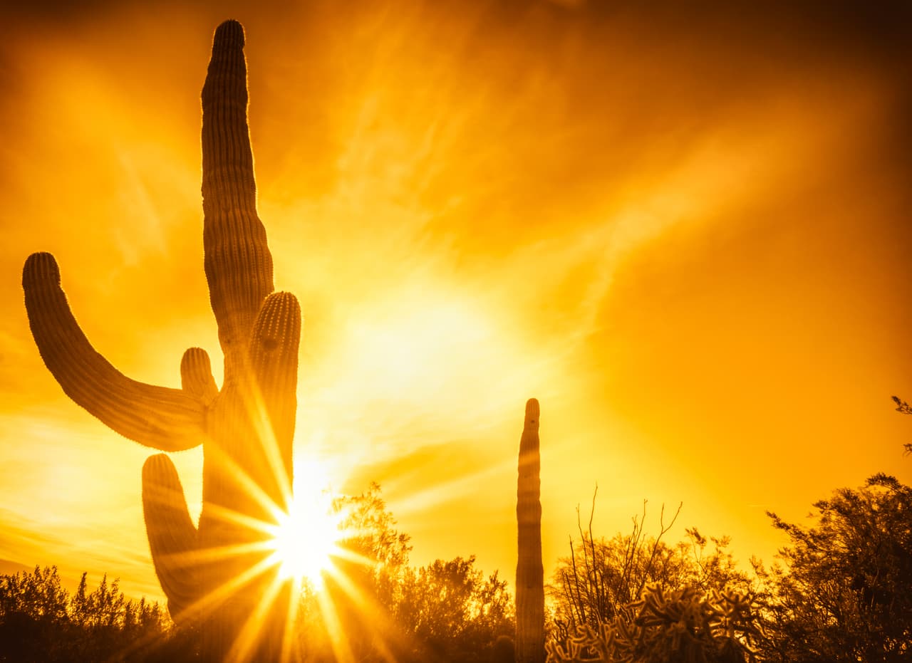 Clima en Estados Unidos hoy jueves 25 de junio: calor extremo continúa en varios estados