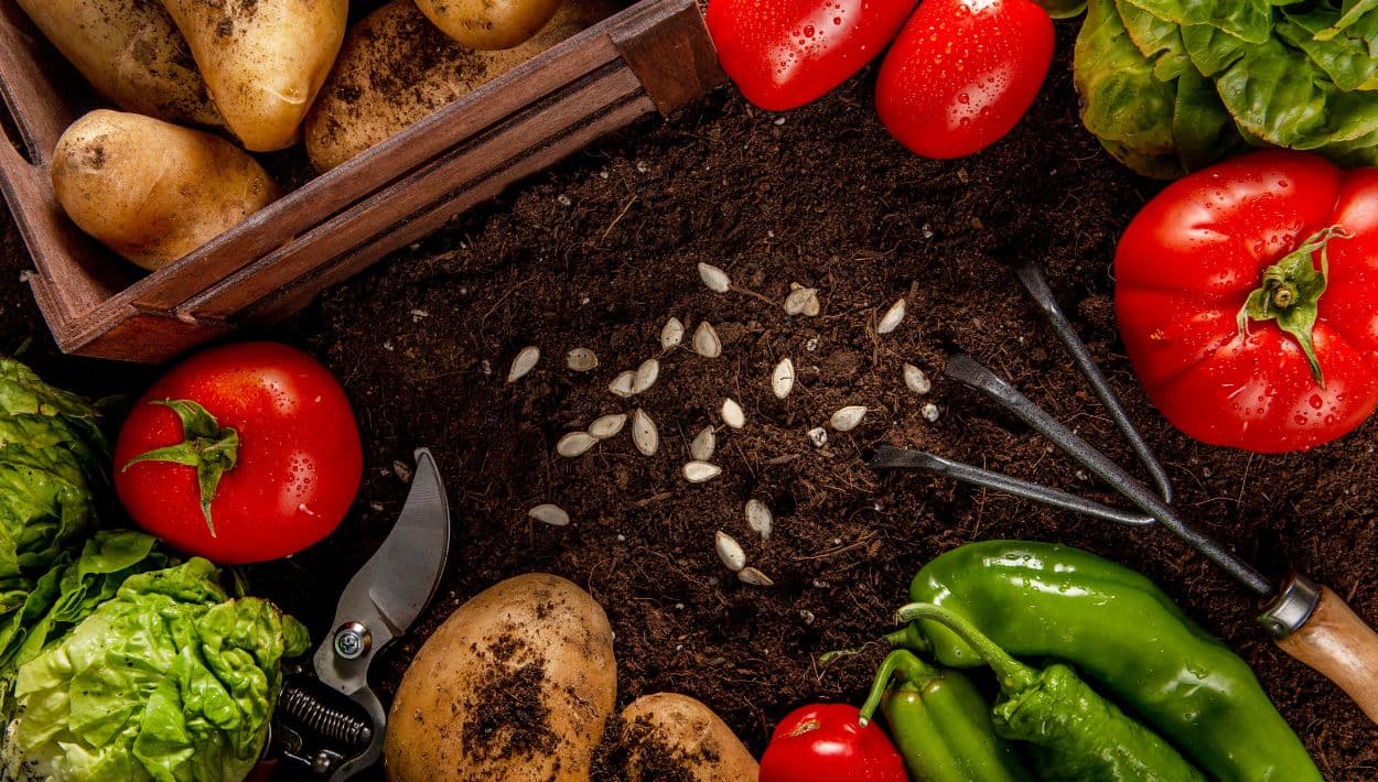 Más allá del Día de la Tierra: reconectar con la comida, una acción que sí impacta al planeta