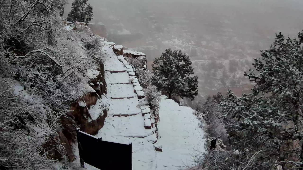 Activan primer aviso por clima invernal para el norte de Arizona; se espera lluvia y nieve