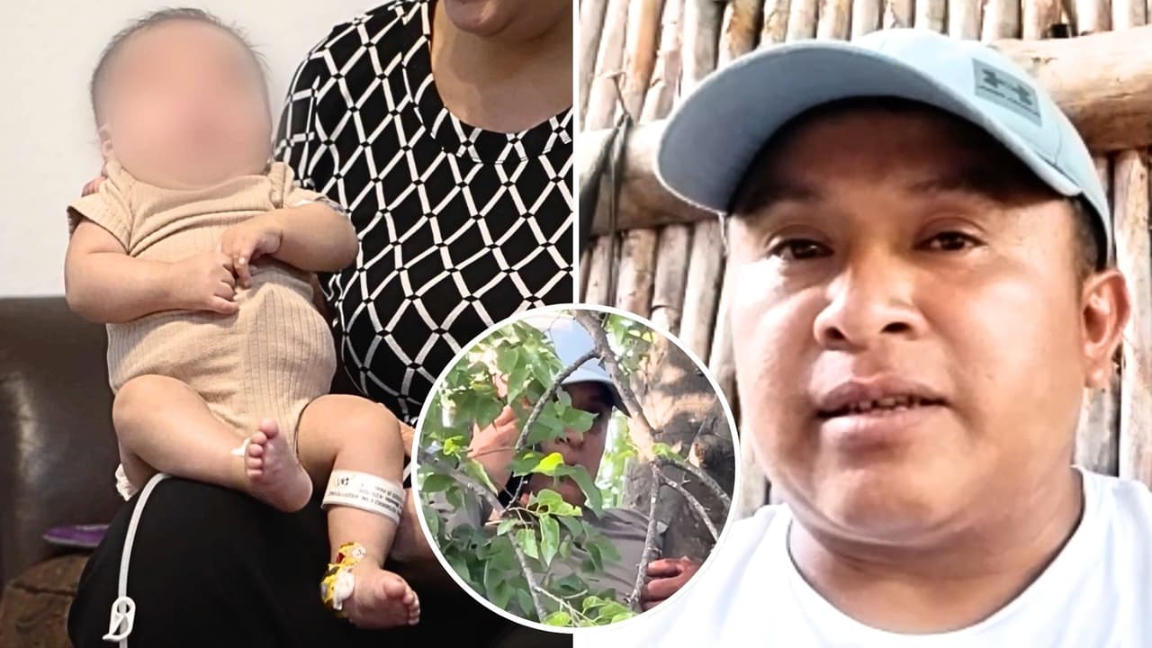 Hispano que subió a un árbol para evitar a ICE es deportado, pero su bebé lucha una rara enfermedad en EEUU