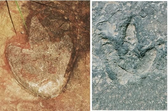 El misterio de las huellas de dinosaurios “casi idénticas” que aparecieron en América y África
