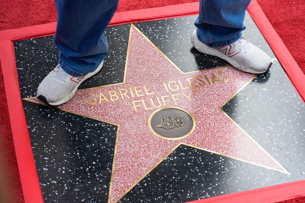 Gabriel Iglesias, conocido por su apodo Fluffy debido a su rutina sobre su peso, inició su carrera en 1997 y ganó popularidad con especiales como "I'm Not Fat... I'm Fluffy" (2009) y "Aloha, Fluffy" (2013).