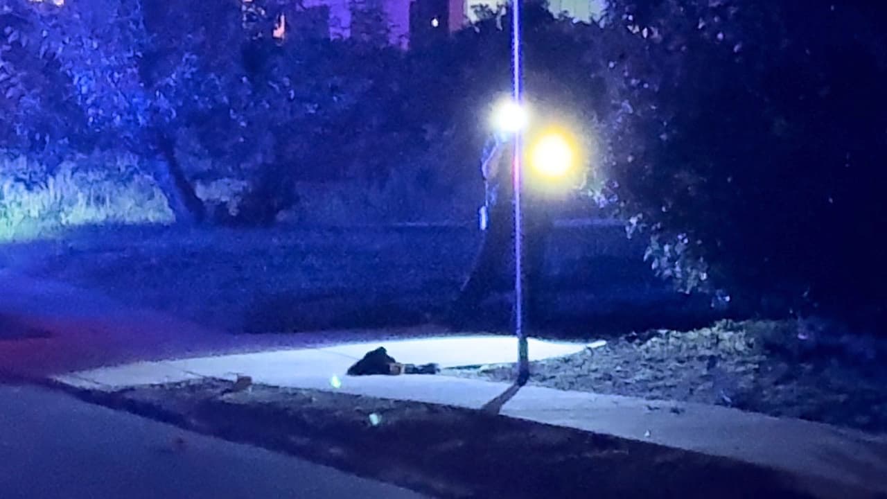 Adolescente es herido a balazos mientras convivía en una fiesta en el centro de San Antonio