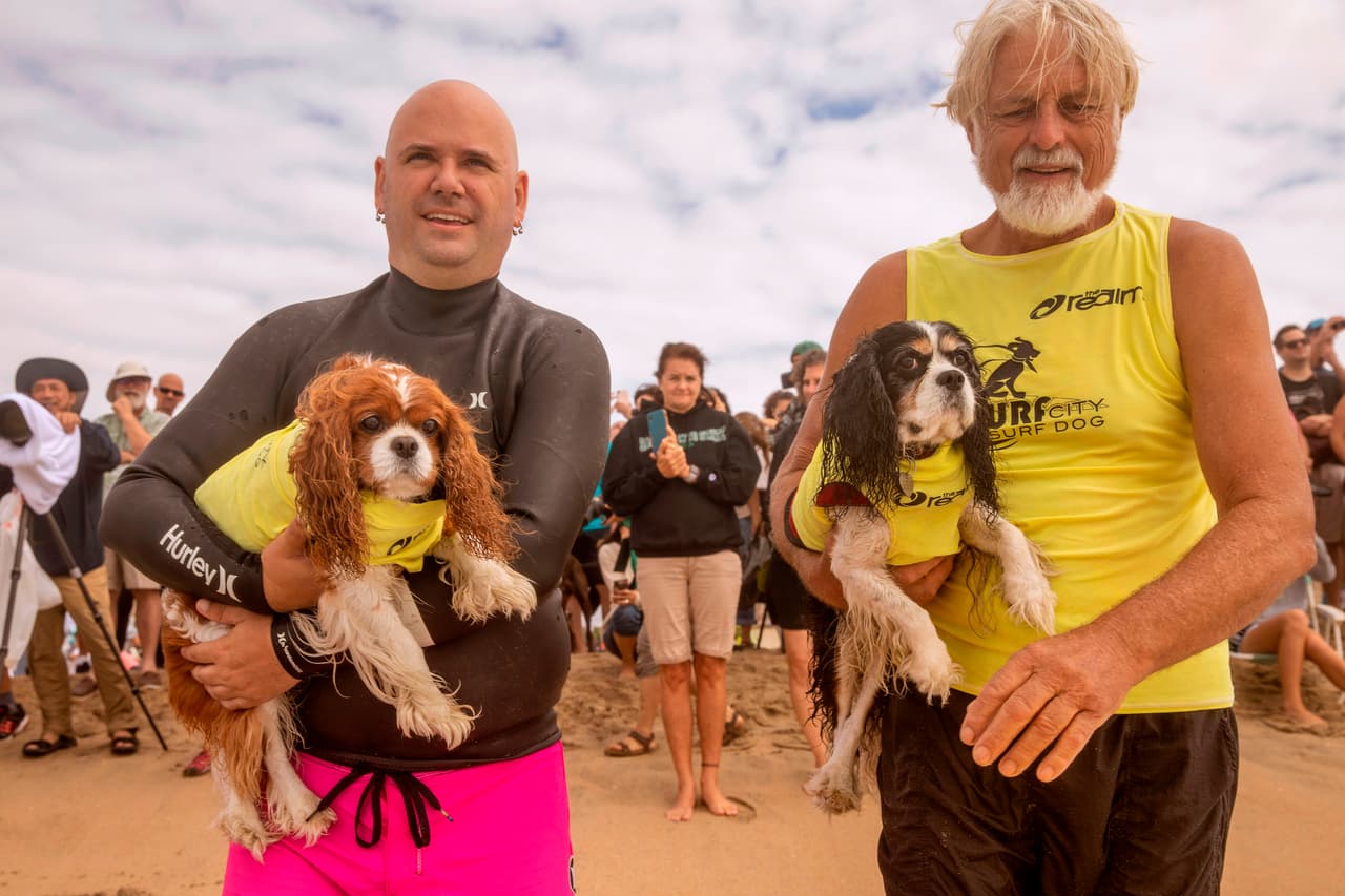 Delilah y Samson junto a sus dueños, preparándose para entrar al agua. La competencia, que cada año lleva más espectadores a Huntington Beach, se realiza a beneficio de organizaciones locales que se dedican a proteger y rescatar animales.