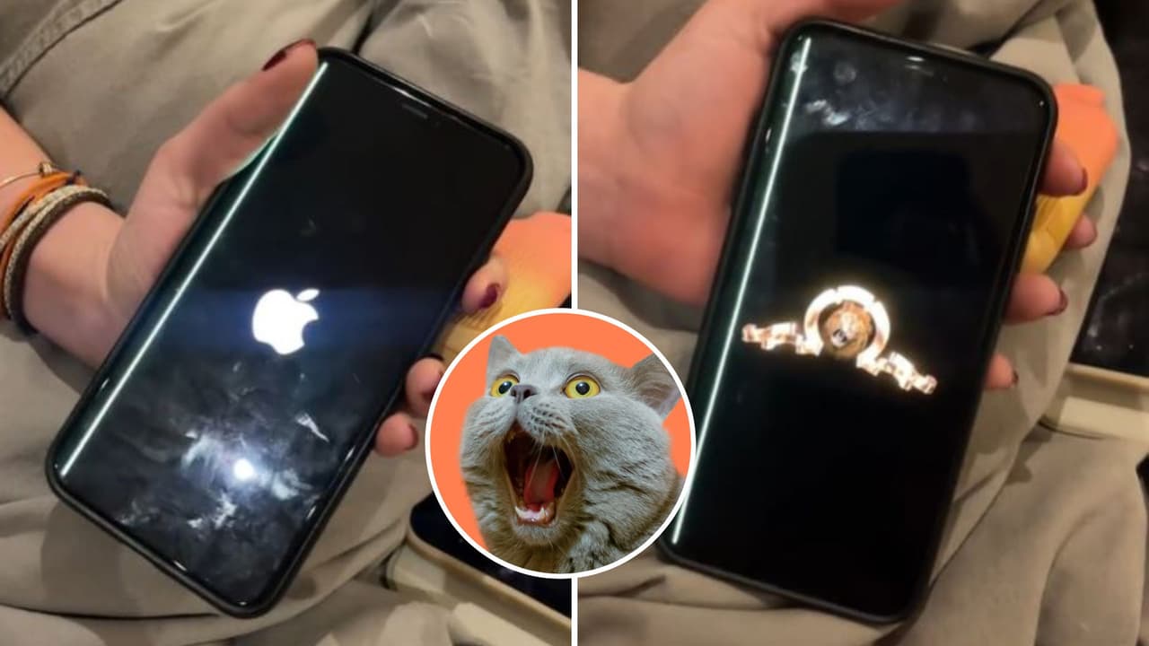 Joven compra celular en Mercado Libre y nadie puede creer cómo prende: "¿Entonces es iPhone o Alcatel?"