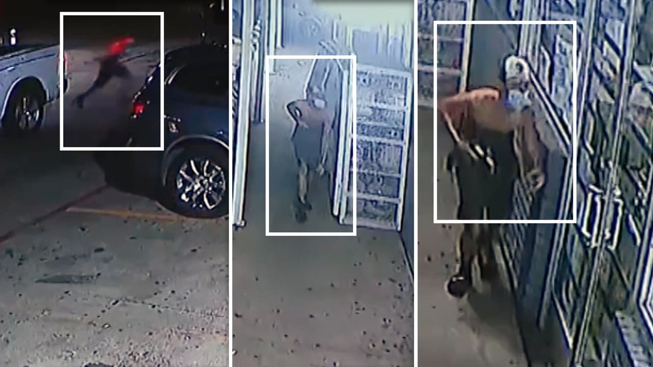 <h3 class="cms-H3-H3">El sospechoso entra armado </h3>Un minuto después,
<b>Abel Acosta descendió de la camioneta y corrió hacia la tienda. </b>
<br>Vestía sin camisa, con gorra
<b>y cubrebocas. </b>
<br>
<b><a href="https://www.univision.com/local/dallas-kuvn/padre-de-abel-acosta-trata-de-demostrar-que-no-tuvo-nada-que-ver-con-la-balacera-protagonizada-por-su-hijo-video" target="_blank">En su mano derecha portaba un arma de fuego,</a></b> según se observa en el video.
<br>Se dirigió directamente
<b>a la entrada del local.</b>