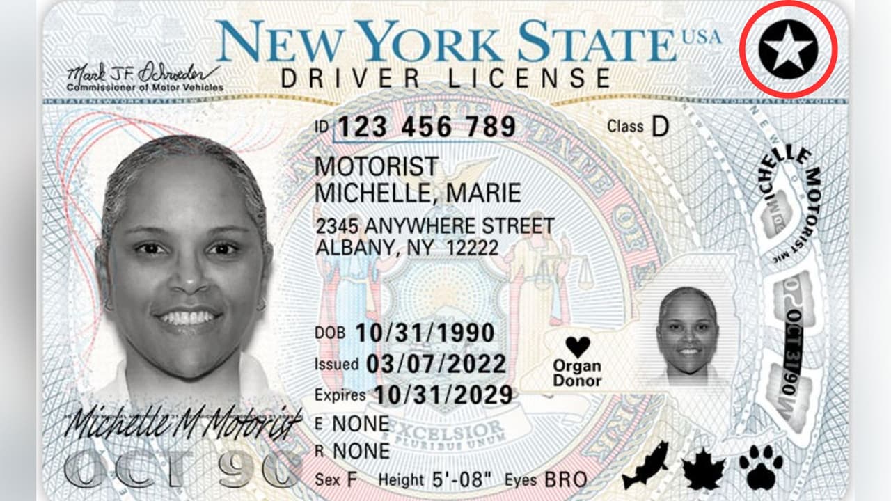 DMV abrirá los sábados estas oficinas de NYC y Long Island para acelerar emisión de Real ID