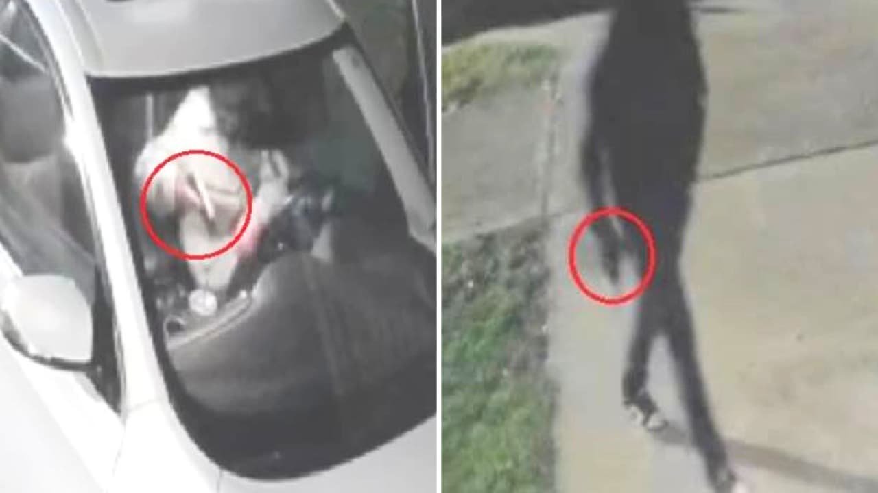 Ladrones enmascarados roban 7 armas tras atracar unos 20 vehículos en estos vecindarios de Georgetown