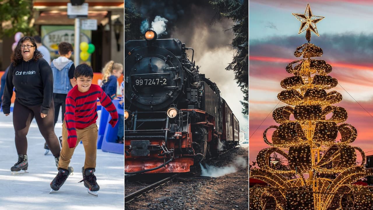Disfruta de la Navidad en el norte de California: 5 actividades para hacer durante las fiestas