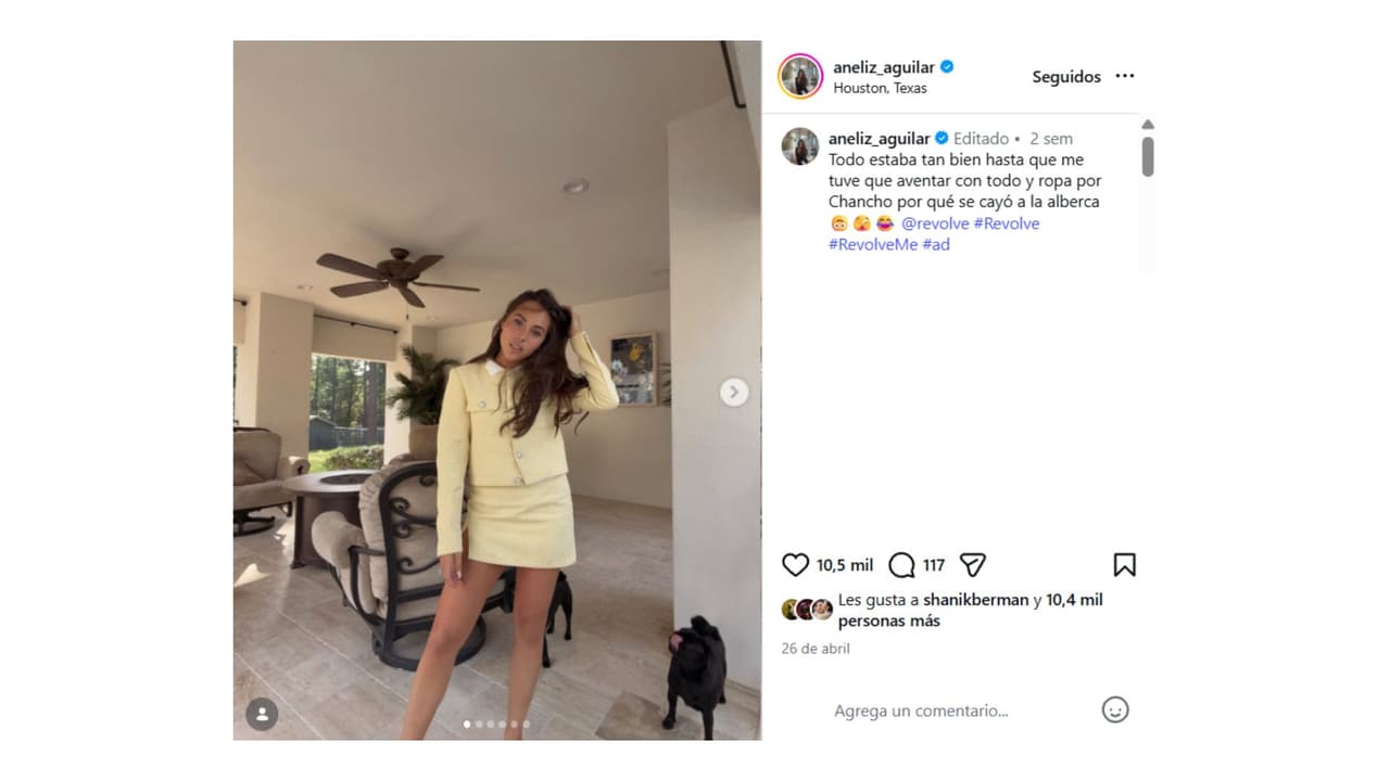 Chancho ya había sido salvado por Aneliz Aguilar tras caer a la alberca.