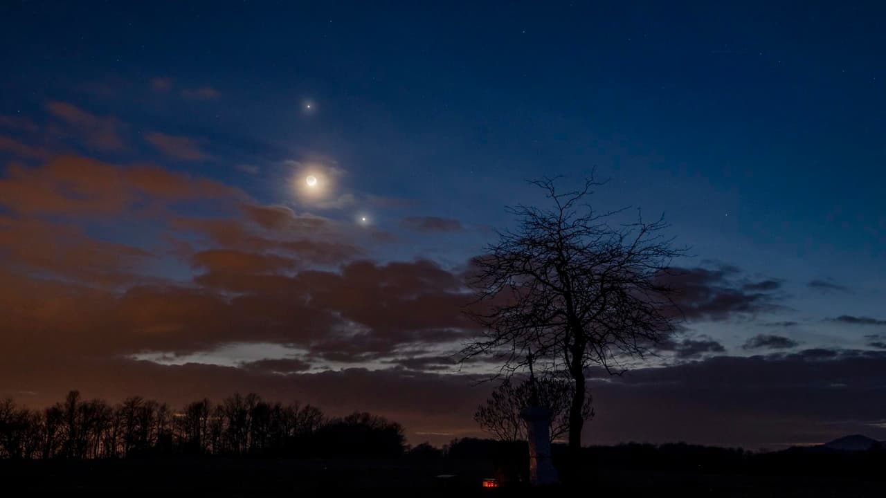 Júpiter y Venus alineados hasta mediados de marzo: cómo ver el extraño fenómeno de los planetas más brillantes