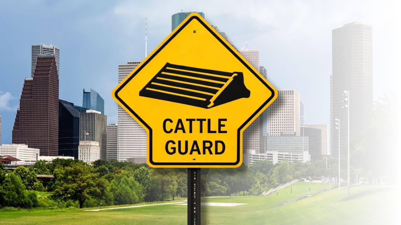 <h3 class="cms-H3-H3">Cattle Guard</h3>
<br>
<br>🔎 Traducción:
<b>Rejilla para ganado.</b>
<br>
<b>👀 Cómo se ve: </b>Señal que advierte la presencia de una rejilla metálica sobre el camino.
<br>
<b>🤔 Qué significa: </b>La rejilla permite el paso de vehículos, pero evita que el ganado cruce, el agarre del vehículo cambia al pasar sobre ella.
<br>
<b>📍 Dónde aparece: </b>Carreteras rurales y zonas de ranchos.
<br>
<b>💡 Qué hacer:</b>
<br>Suelta el acelerador antes de llegar.
<br>Sujeta el volante con firmeza.
<br>Evita frenar directamente sobre la rejilla.
<br>Mantén distancia, puede haber animales cerca del camino.
<br>
<b>⚠️ Error común:</b> Pasar rápido y frenar encima del metal.