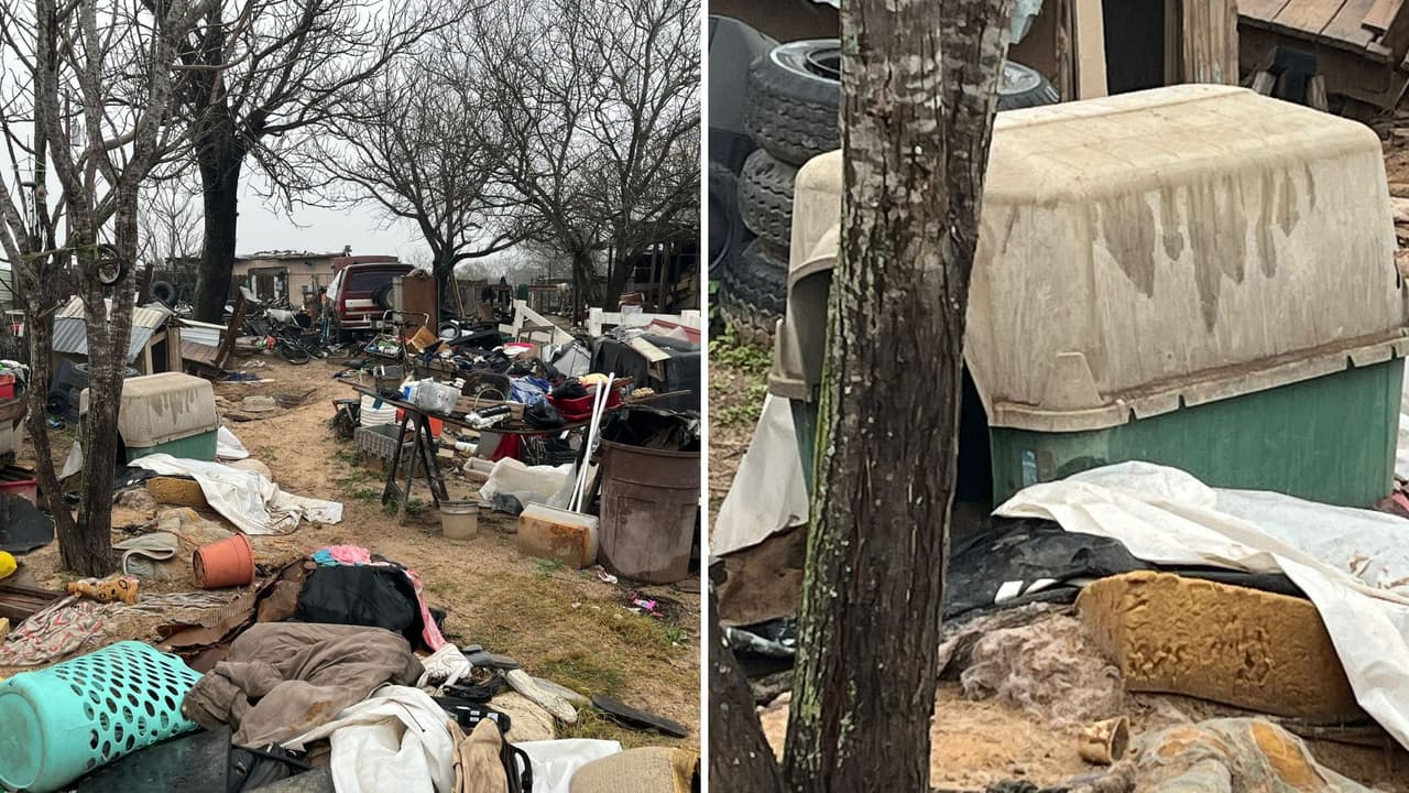 Rescatan a 30 perros hallados encadenados y en malas condiciones en Atascosa