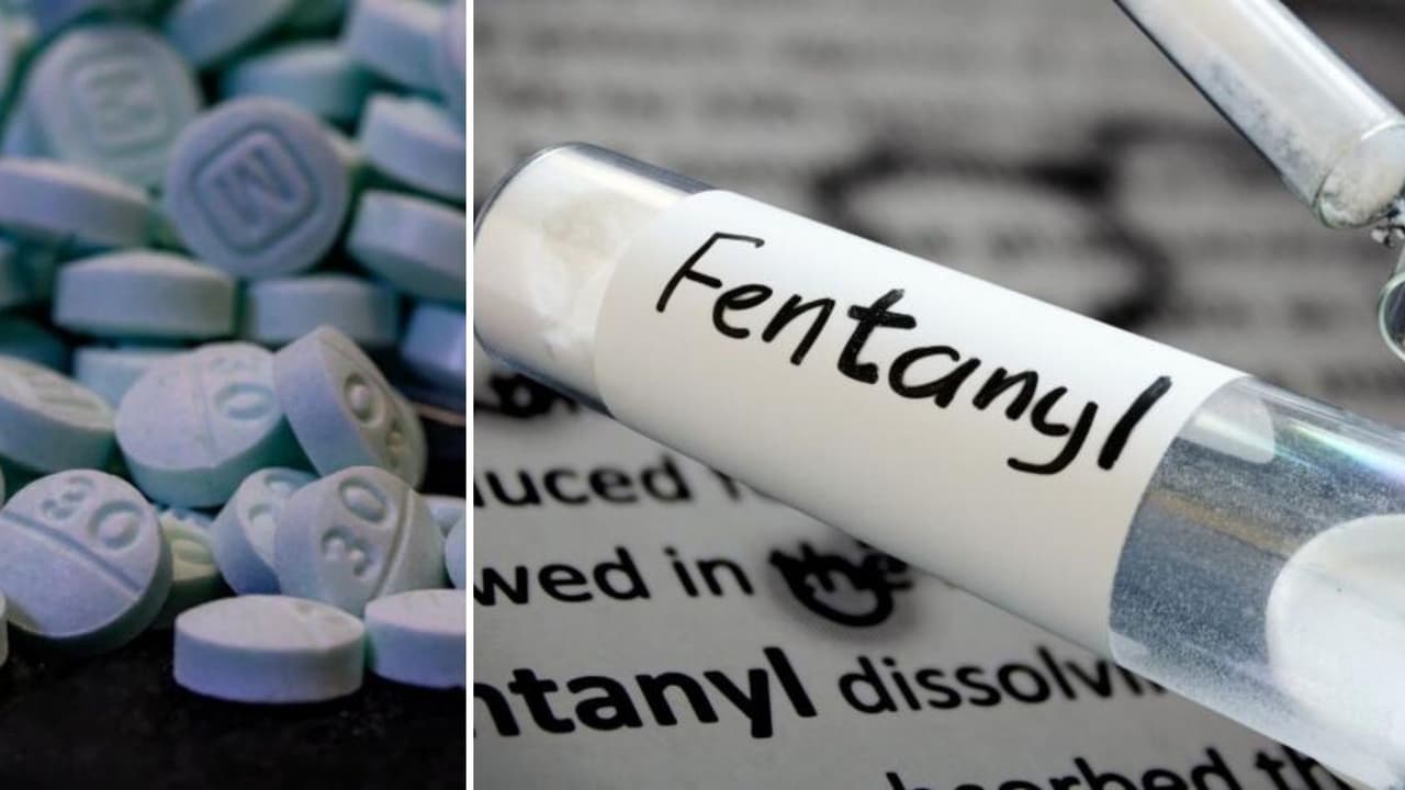 Además, puedes evitar el uso de drogas de fuentes no confiables, nunca consumas drogas solo, y prueba las drogas usando tiras reactivas de fentanilo, que están disponibles en los siguientes enlaces:
<br>www.tacoinc.org/teststrips
<br>
<a href="http://dancesafe.org/shop">http://dancesafe.org/shop</a>
<br>
<a href="http://aplahealth.org/fentanyl">http://aplahealth.org/fentanyl</a>.