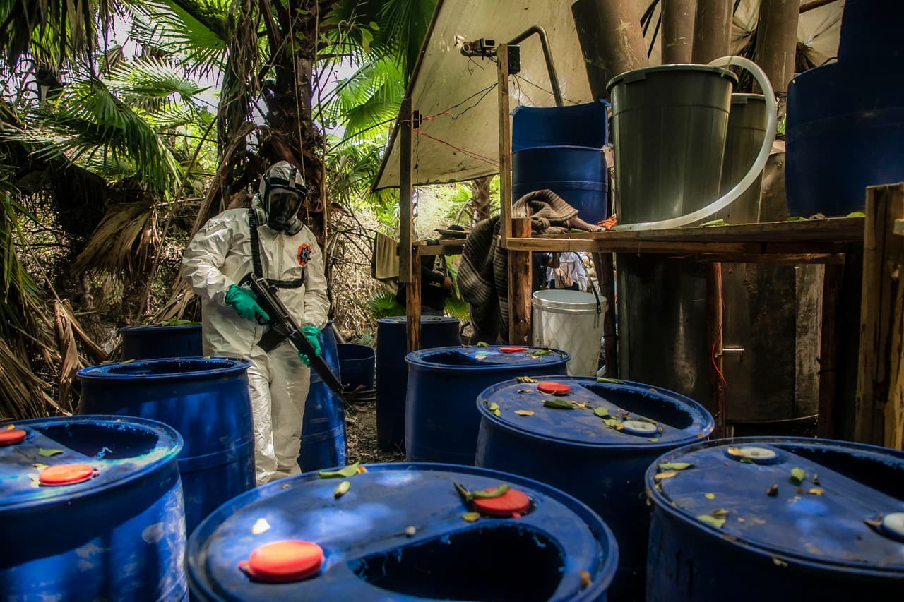 México presume resultados en la lucha contra el fentanilo, pero los efectos no llegan a EEUU, según expertos