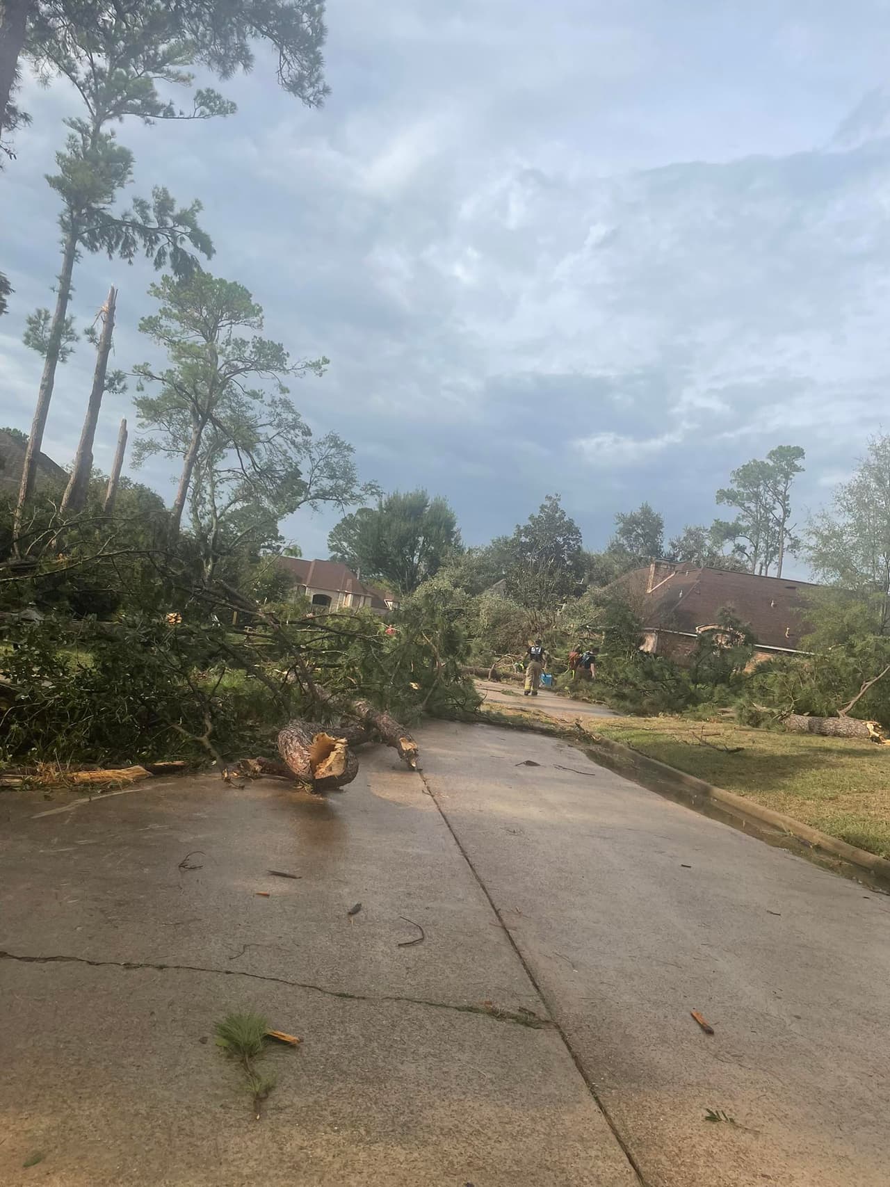 Vecindarios como Memorial Northwest registraron múltiples llamadas de residentes alarmados por techos arrancados,
<b>ventanas rotas y árboles caídos sobre viviendas y vehículos.</b>