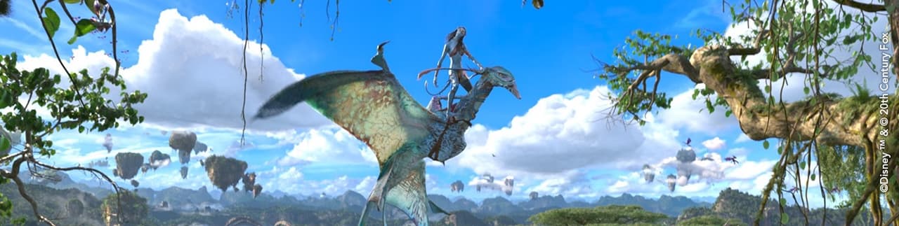 Descubre los increíbles parques temáticos de Disney en Florida y California