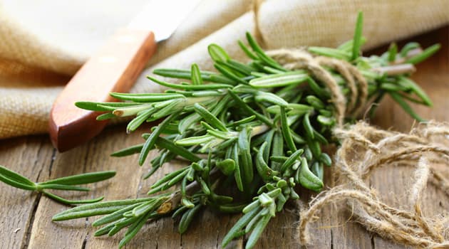 El romero previene el Alzheimer y otros 4 beneficios que te has estado perdiendo