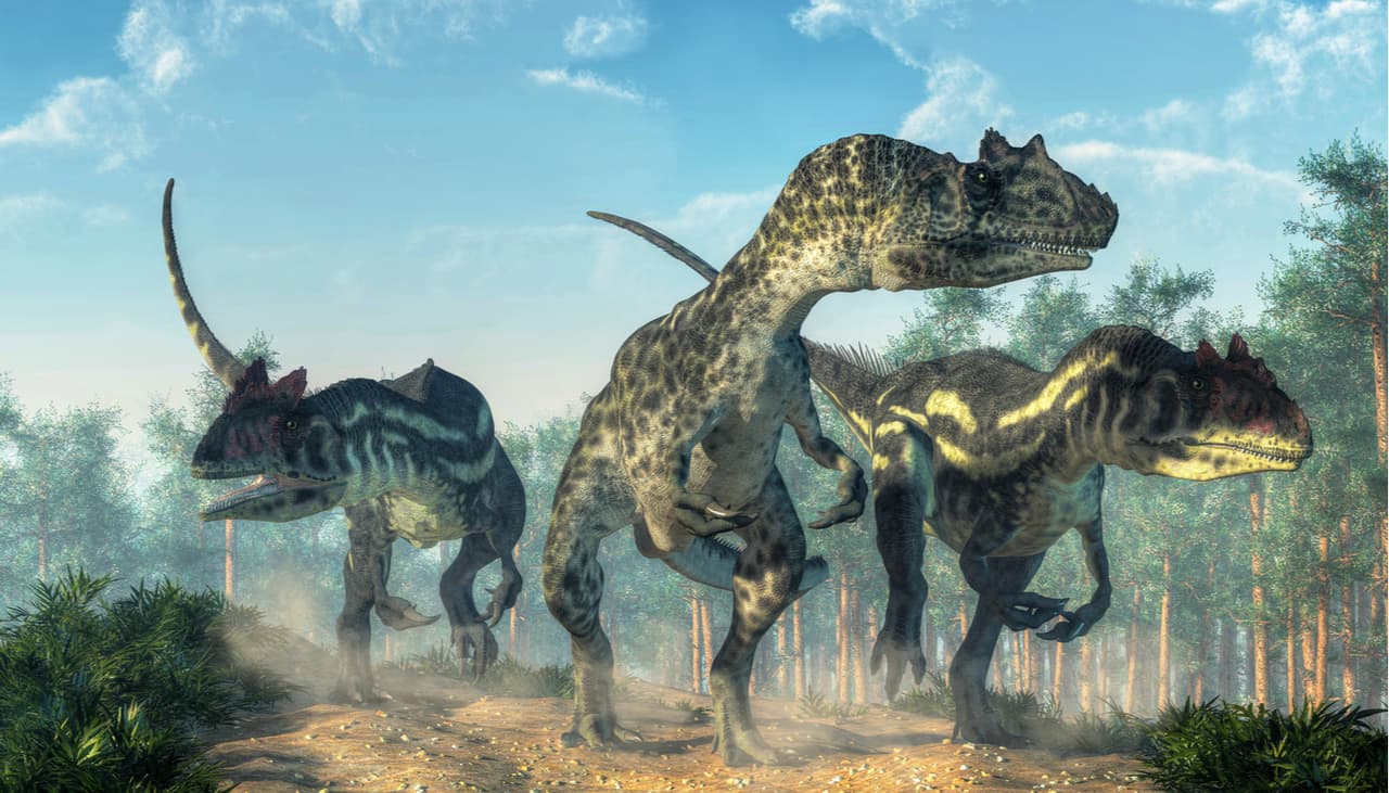 Descubrieron un nuevo dinosaurio:¿es el eslabón perdido entre las aves y los reptiles?