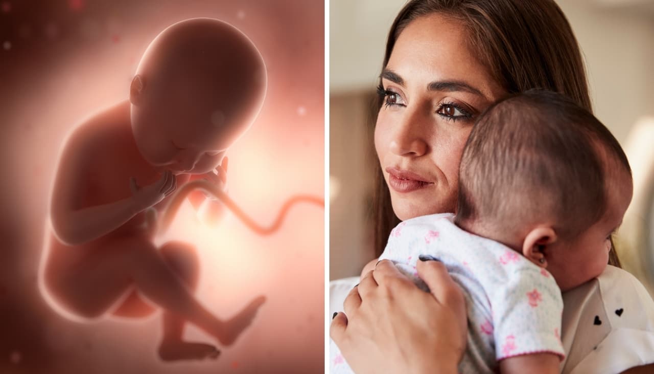 Los bebés pueden sufrir malformaciones por 7 causas (algunas se pueden evitar)