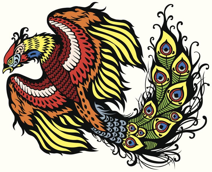 Tatuaje de ave fénix enviado por Ángel