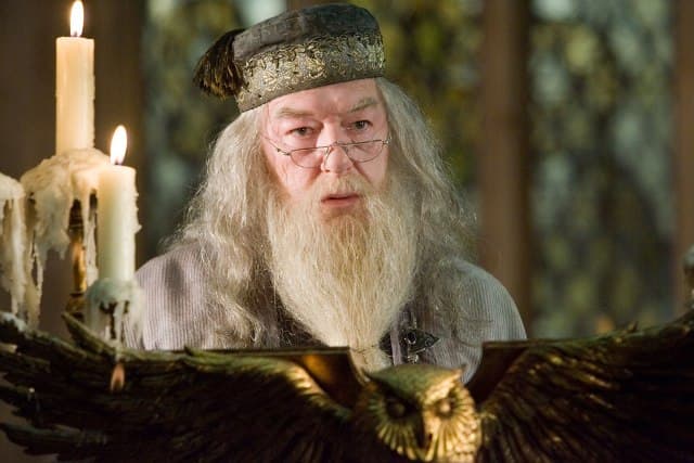 Ian McKellen pudo ser Dumbledore y lo rechazó por esta razón