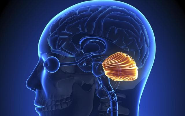 ¿Por qué algunas personas hablan muy lento? La condición que podría ser la responsable