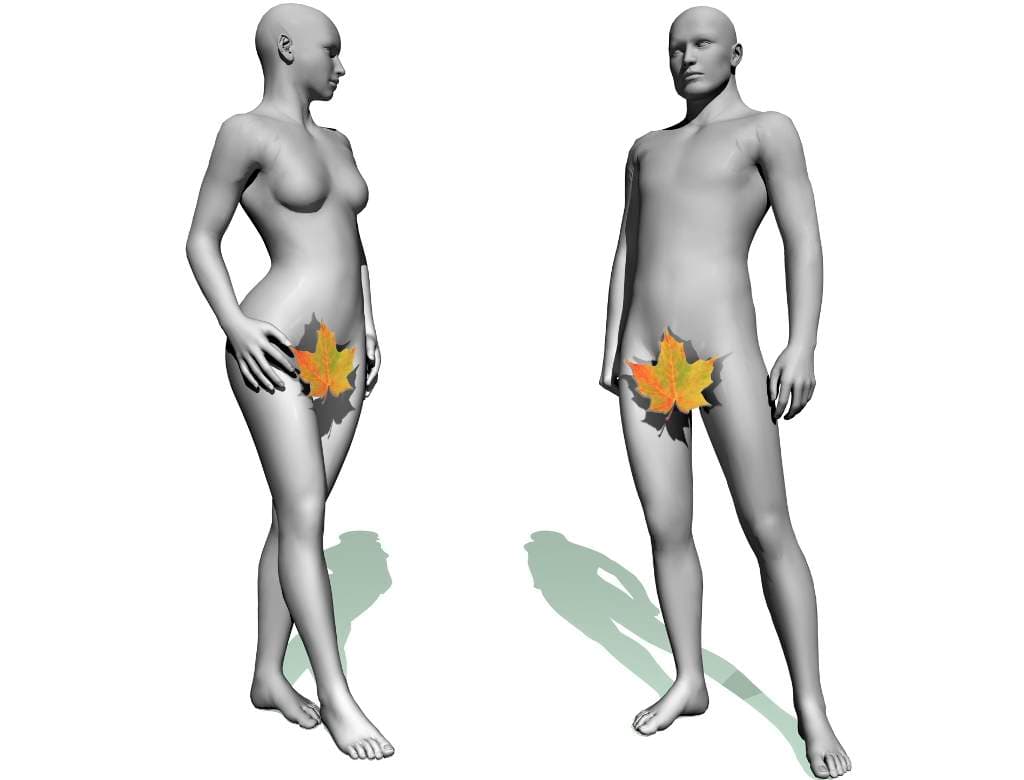 ¿Qué edad tiene el Adán genético?