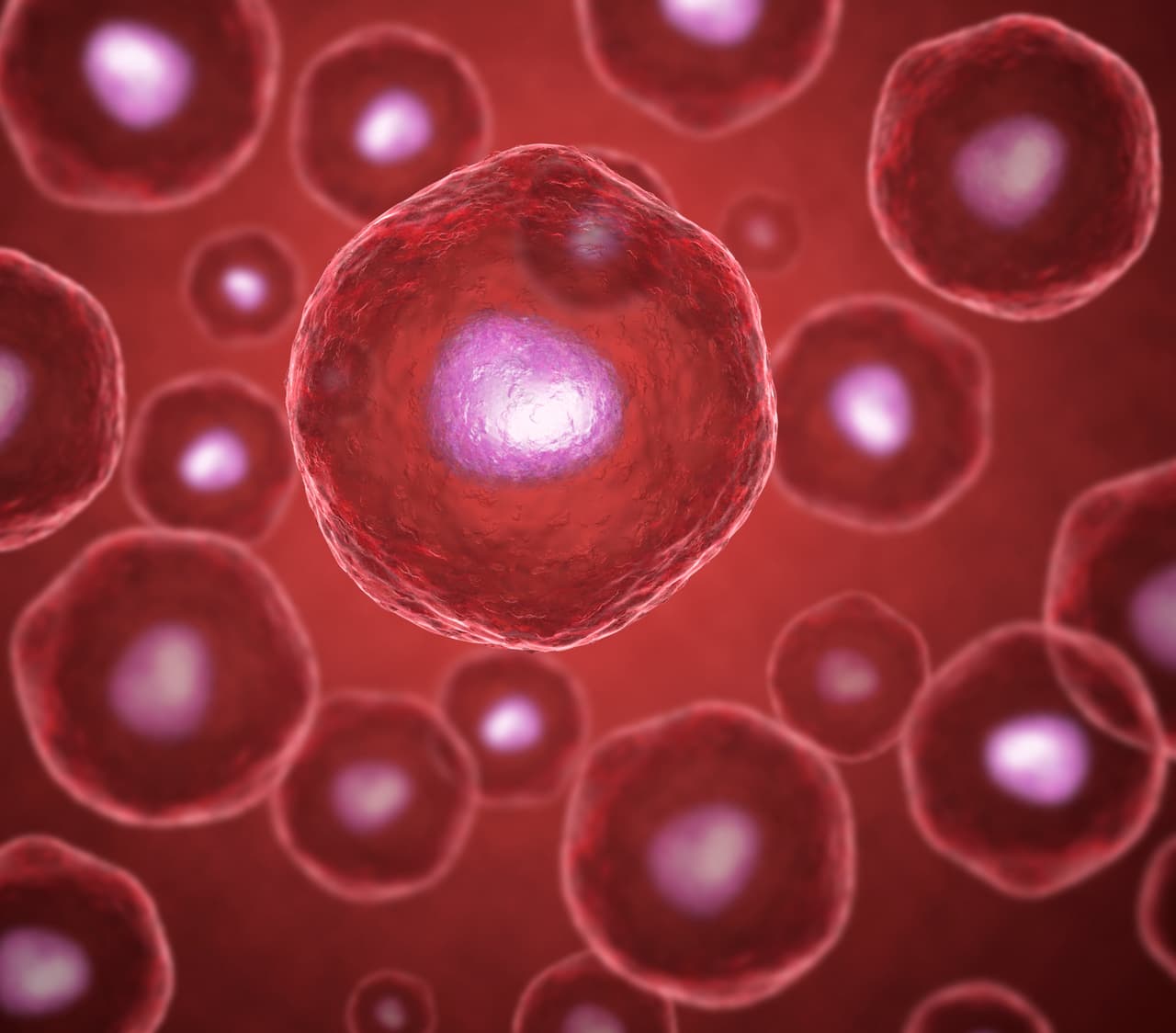 Células madre: más cerca de la clonación terapéutica