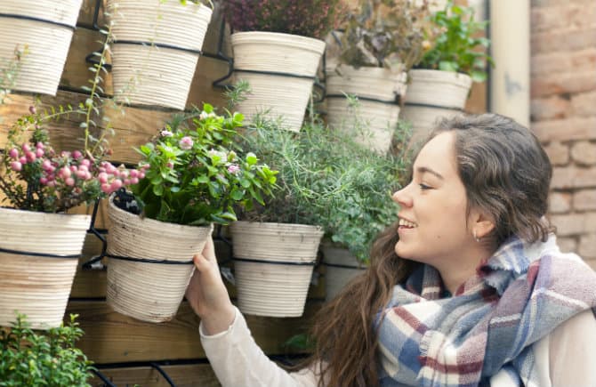 Conoce las plantas que son perfectas para purificar tu hogar (la NASA las recomienda)