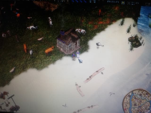 Esteban Romero's profile picture