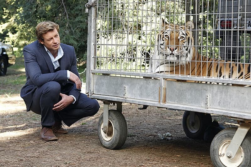 Crítica de The Mentalist 4x18: Ruddy Cheeks