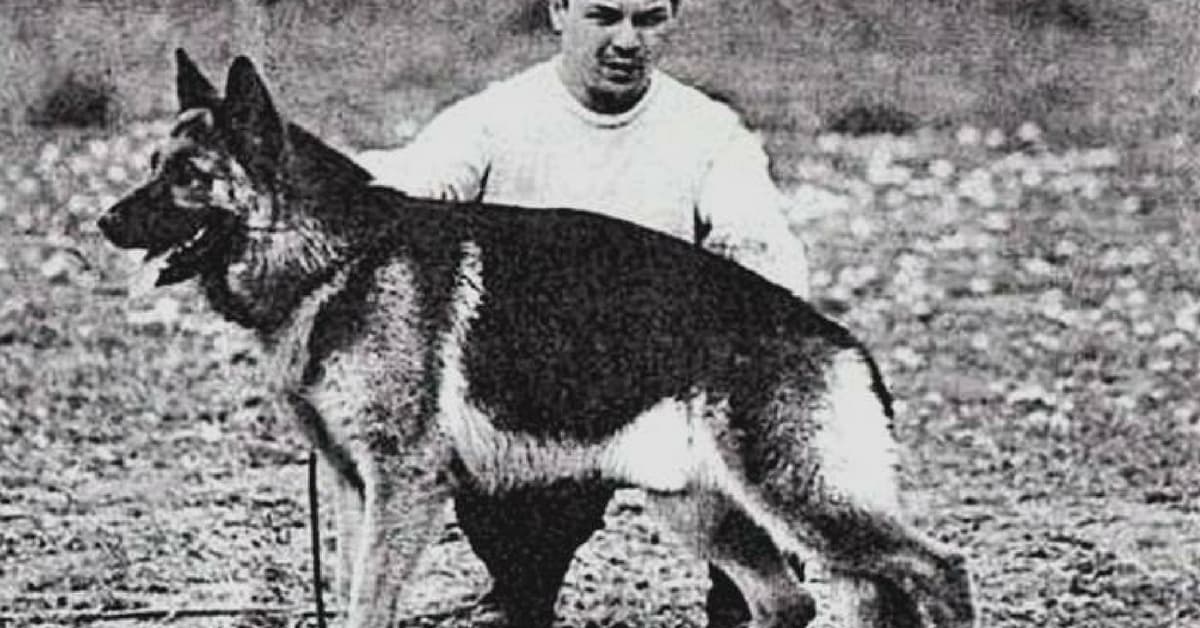 ¿Por qué celebramos en Argentina el Día nacional del perro?