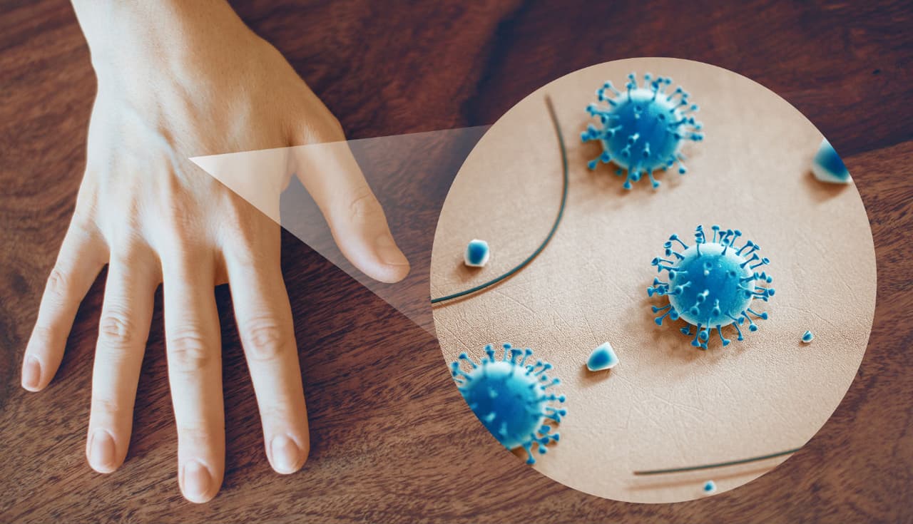 El hogar está lleno de virus todo el tiempo, ¿por qué estos no te enferman?