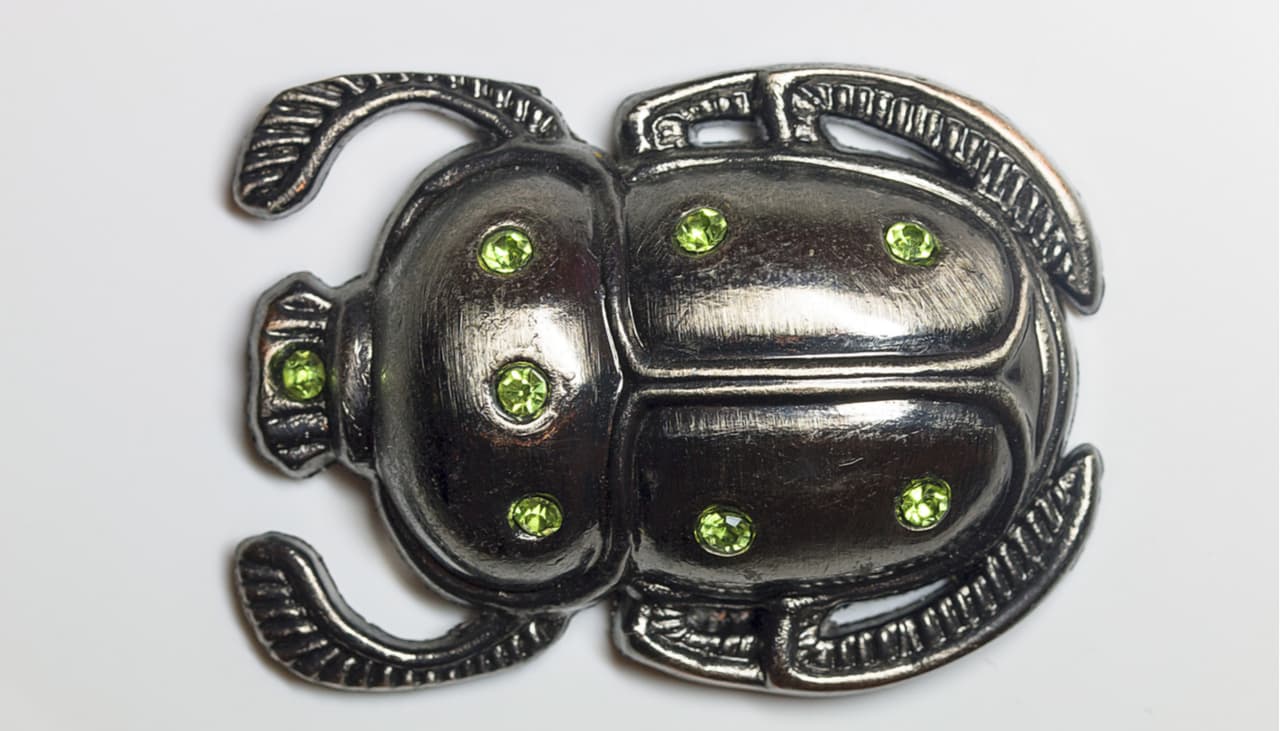 Los egipcios no sólo momificaban personas: encontraron a un extraño animal en las tumbas