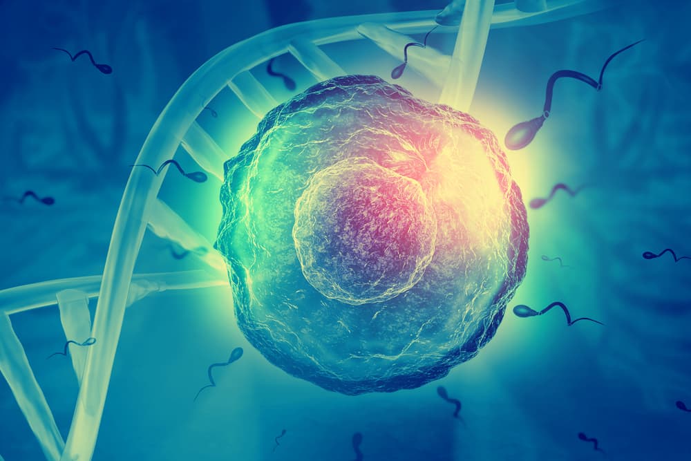 Ya podemos tener hijos "perfectos" de laboratorio, pero no lo hacemos por este importante motivo