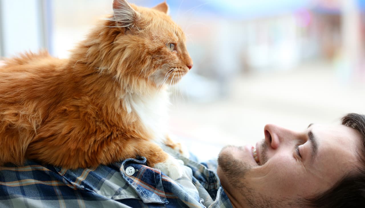 Las mascotas pueden ayudar a las personas con problemas de salud mental a darle sentido a la vida