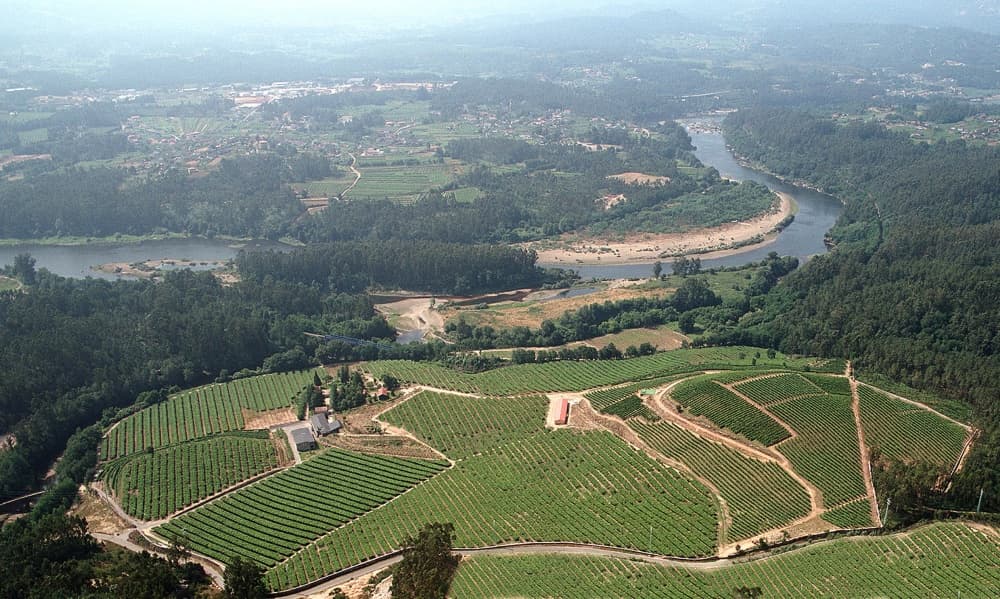 Notas de cata del licor de hierbas Galicia Fillaboa