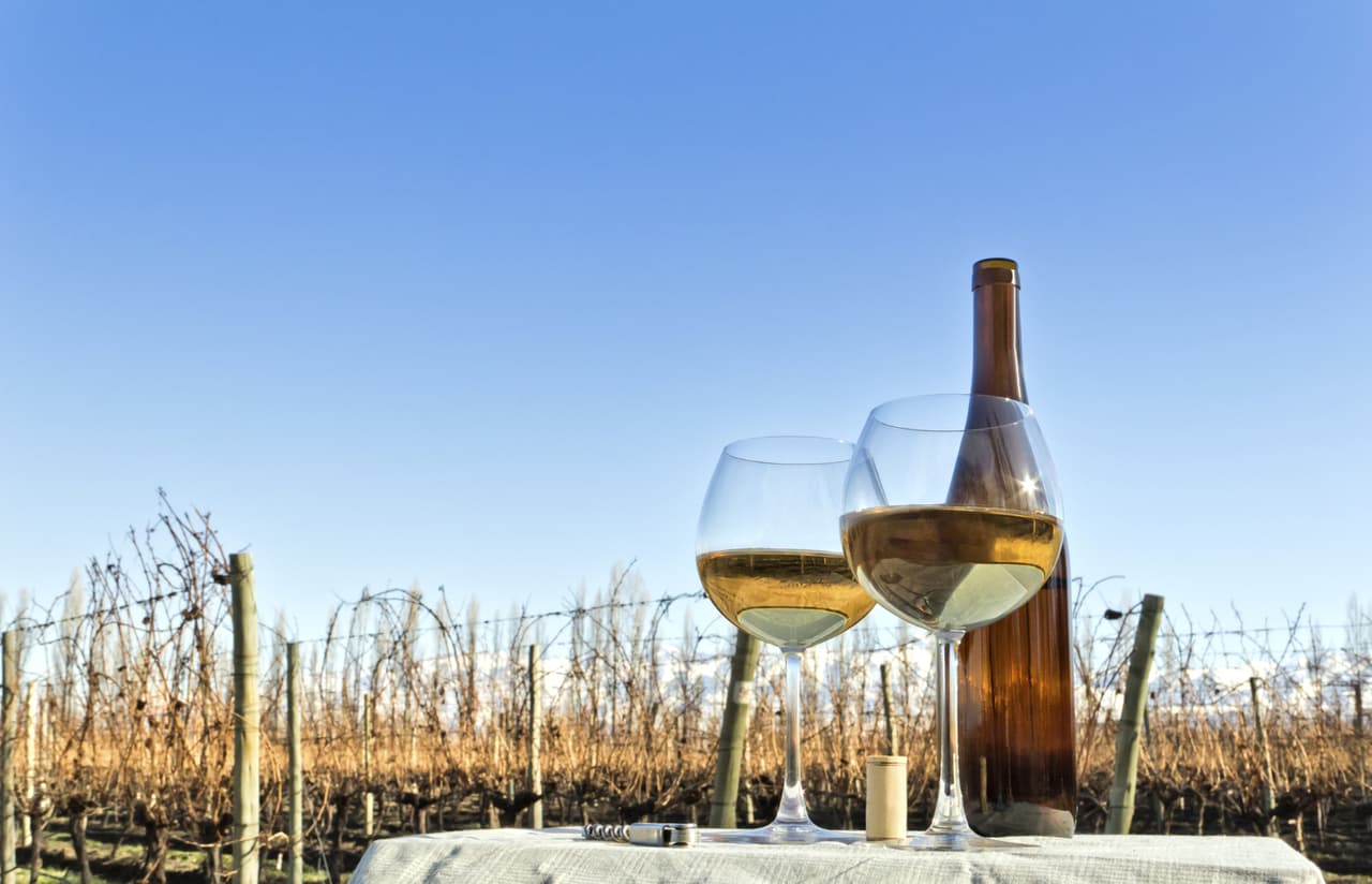 Las 3 mejores etiquetas de Torrontés