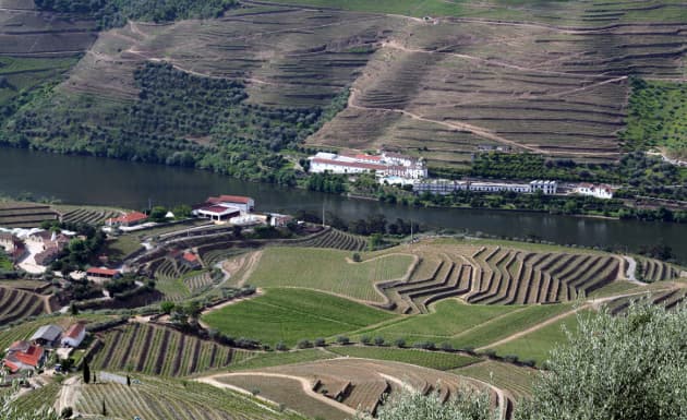 Oporto, un vino extraordinario