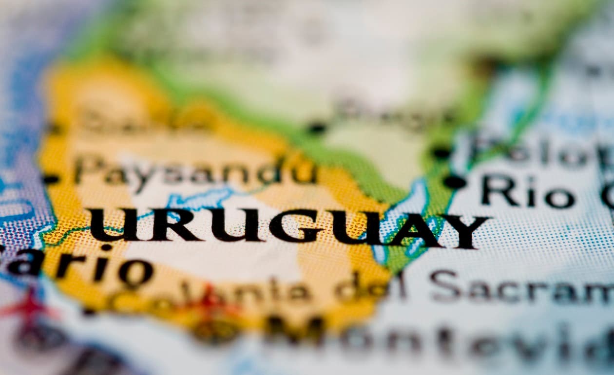 Vinos del Uruguay: Bodegas Carrau y sus vinos Tannat