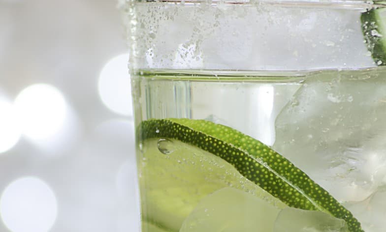 ¿Cuáles son las especias más utilizadas en los Gin Tonic?